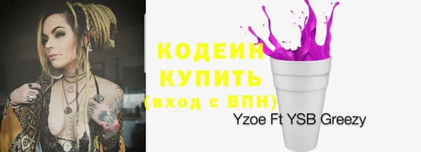 apvp Арсеньев