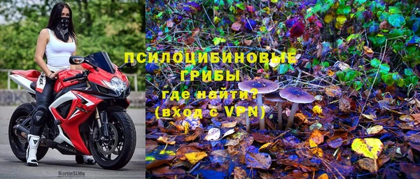 гашик Аркадак
