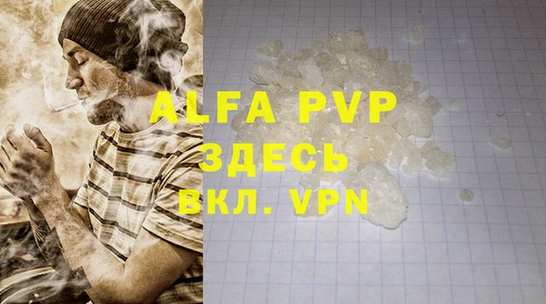 крисы Баксан