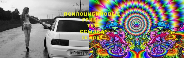 прущие крисы Балабаново