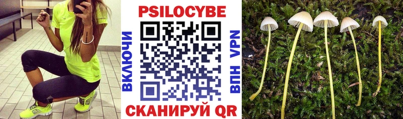 как найти   Белая Калитва  нарко площадка телеграм  Галлюциногенные грибы мухоморы 